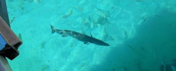 AN EXUMA HOLIDAY VACATION