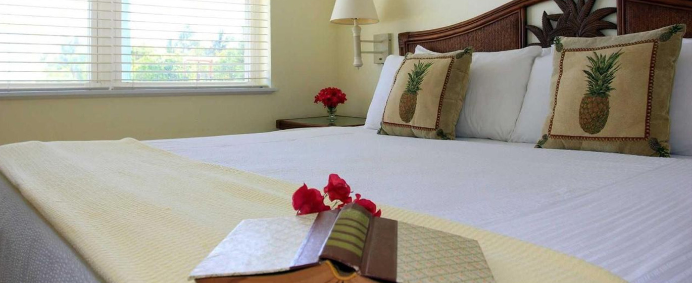 HILLSIDE SECLUSION AND SAVINGS!