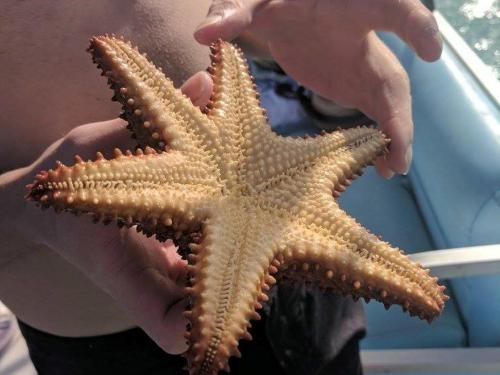 Best Places to Stay in Exuma