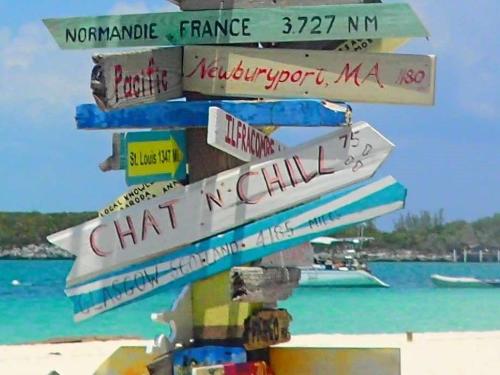 Interact With The Stingrays