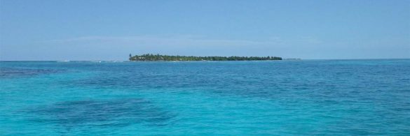 BAHAMIAN JUNKANOO IN JULY