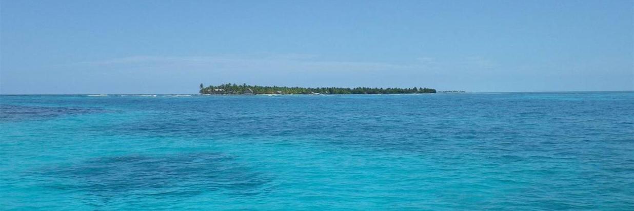 BAHAMIAN JUNKANOO IN JULY
