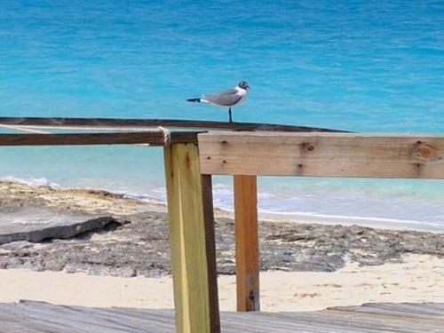 Sandals Hotel Exuma